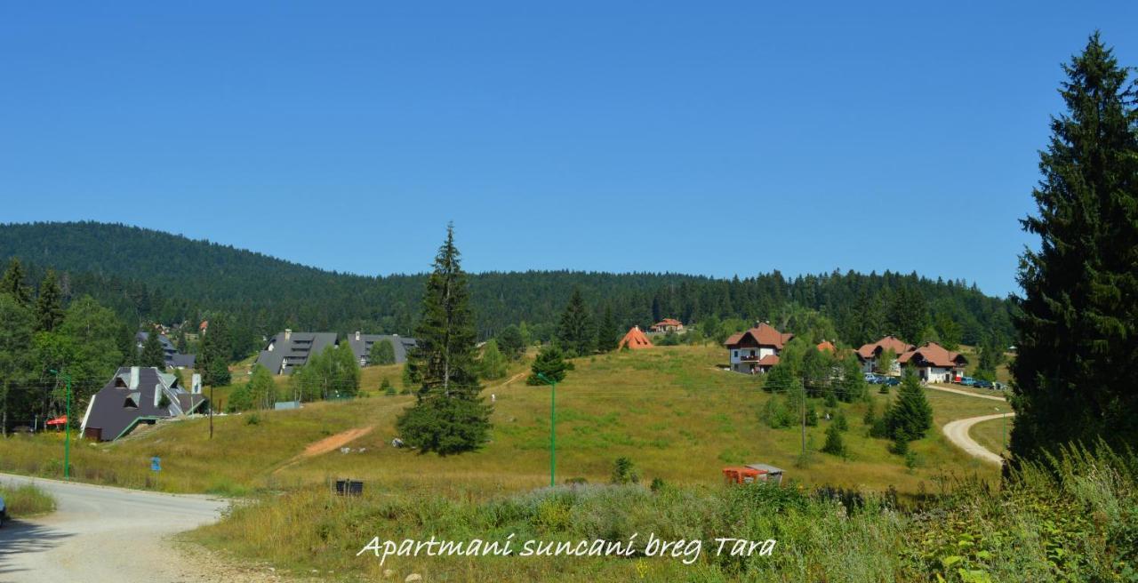Apartmani Suncani Breg Tara Митровац Экстерьер фото